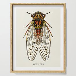 Cicada Orni Bug Serving Tray