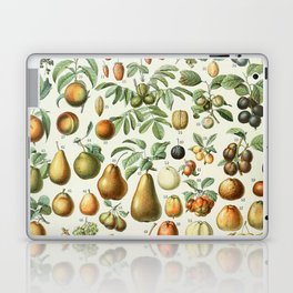 Vintage Fruit Poster 2 - Adolphe Millot Laptop Skin