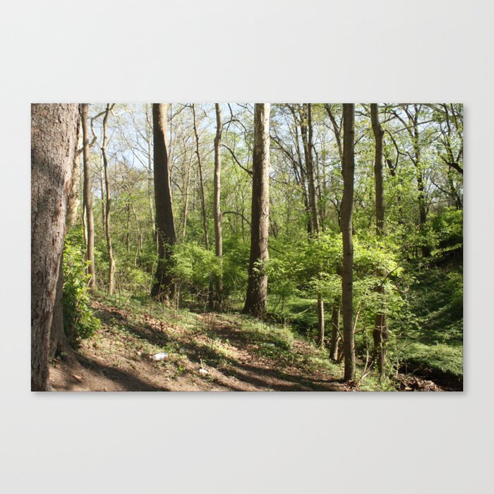 Another trail leading nowhere, including litter this time Canvas Print
