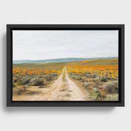 Road Less Traveled Framed Canvas