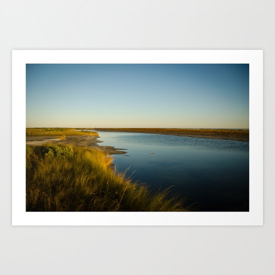 Horn Island, MS Art Print
