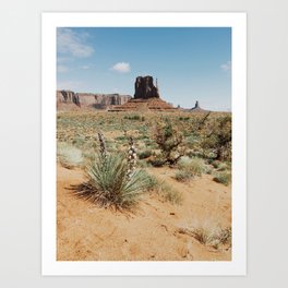 Blooming Southwest Desert Yucca Art Print