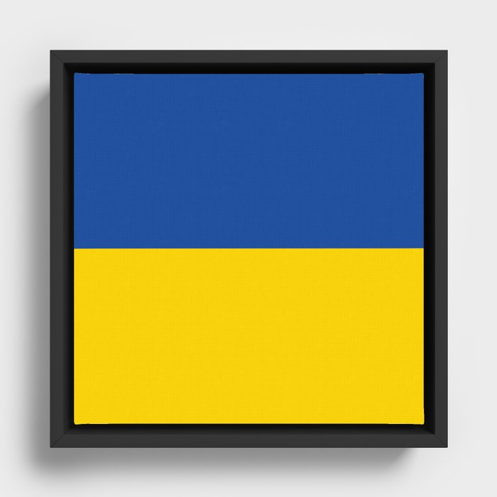 Framed Canvas