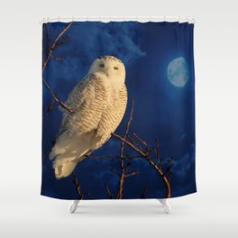 The owl and mystical moon Shower Curtain