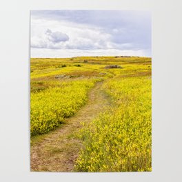 through the yellow meadow Poster