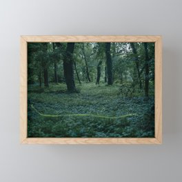 firefly composition no.1 Framed Mini Art Print