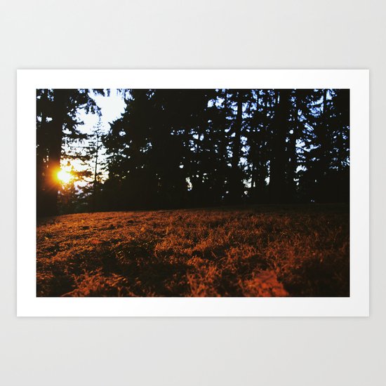 Fall's Last Light Art Print