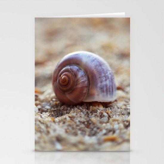 Seashell Stationery Cards