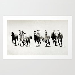 Black and White Horses Art Print