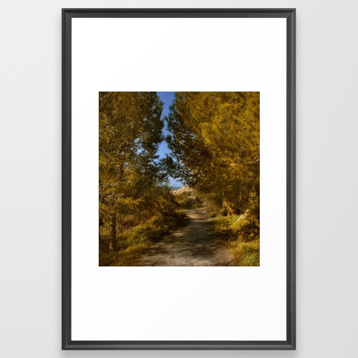 Country Trails Framed Art Print
