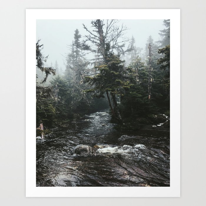 Against The Grain Art Print | Photography, Digital, Forest, Mountain, Marcy, Trees, River, Moody, Rain, Fog