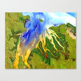 From Above Canvas Print