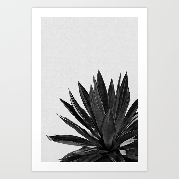 Agave Cactus Black & White Art Print