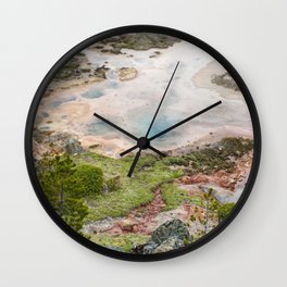 The Great and Wild Basin of Life Wall Clock