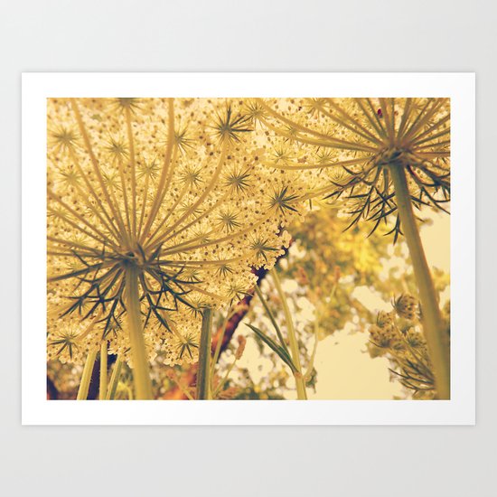 Lacy Umbrellas Art Print