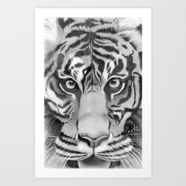 SDCC Tiger Art Print