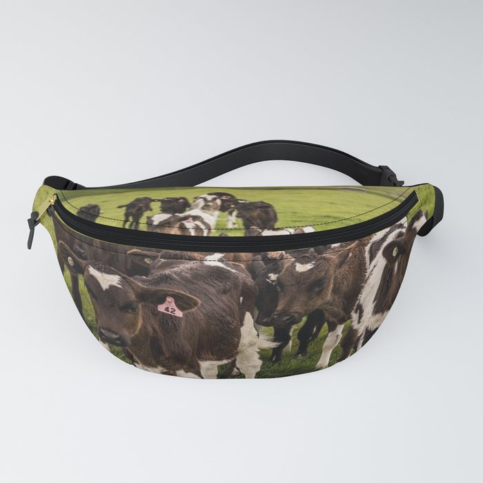 New Zealand Photography - Flock Of Cows On The Grassy Field Fanny Pack