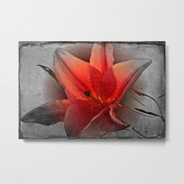 Pink Star Metal Print | Mixed Media, Lily, Flowers, Digital, Color, Lilies, Grey, Nature, Stargazer, Peach 