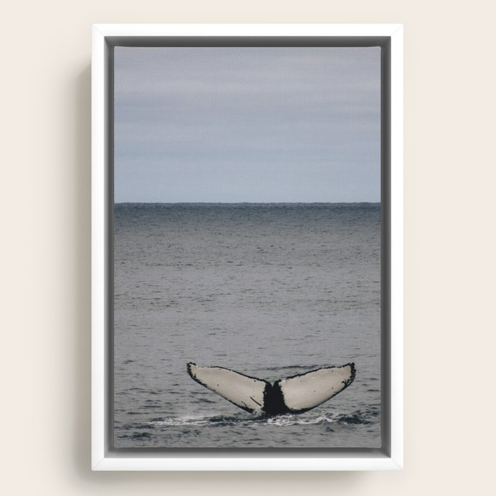 Framed Canvas