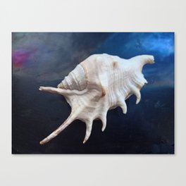Levitating Shell Canvas Print