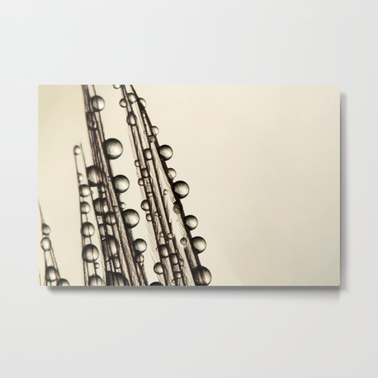 Feather Soft Drops Metal Print