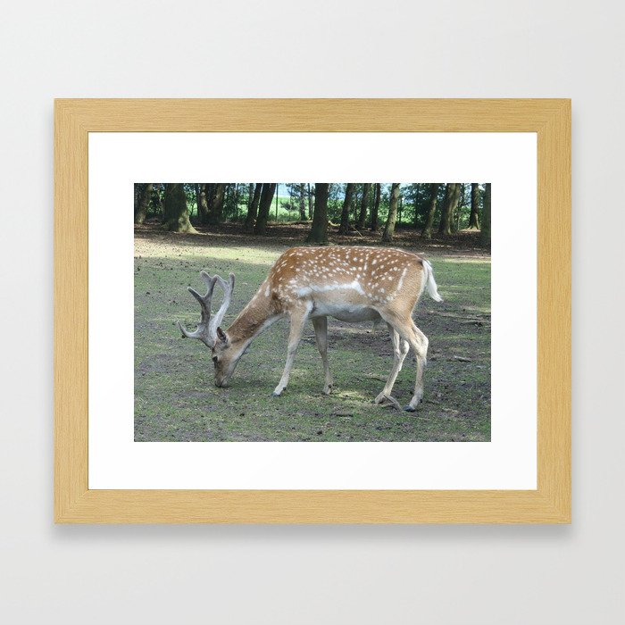 Oh deer! Framed Art Print