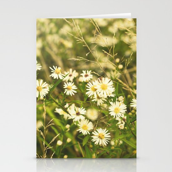 Daisies in Autumn Stationery Cards