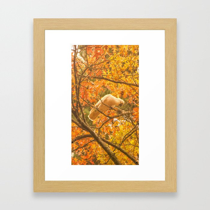 Autumn Melody Framed Art Print
