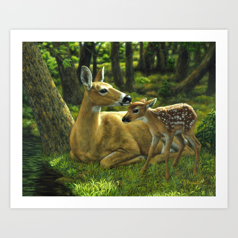 Deer Home Decor Spring Fawn Canvas Wall Art Print 