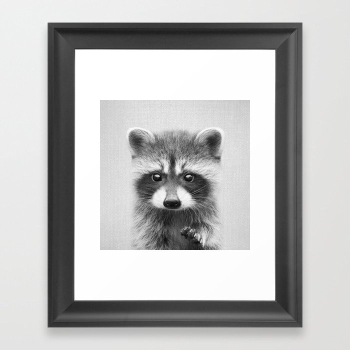 Raccoon - Black & White Framed Art Print