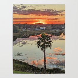 Refection Sunset Palm Tree Poster