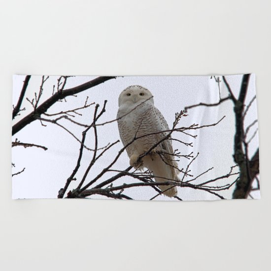 Snowy Owl in the Treetop Beach Towel