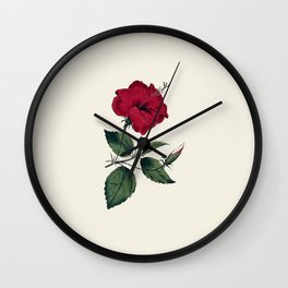 Vintage ivory white red green botanical flower Wall Clock | Botanicalflower, Flowers, Curated, Red, Green, Botanical, Flower, Vintageflower, Vintagefloral, Ivory 
