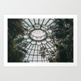 Green house roof top with palm tree II | botanical fine art photo print nature | Brussels Belgium. By Tumbleweed & Fireflies Photography Art Print