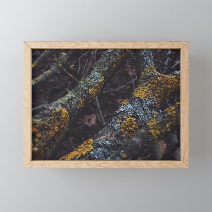 Old wood sleeping in the forest Framed Mini Art Print