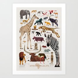 African wildlife986044 Art Print