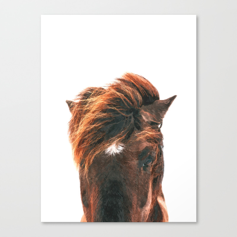 Horse Head Canvas Print By Alemi Society6