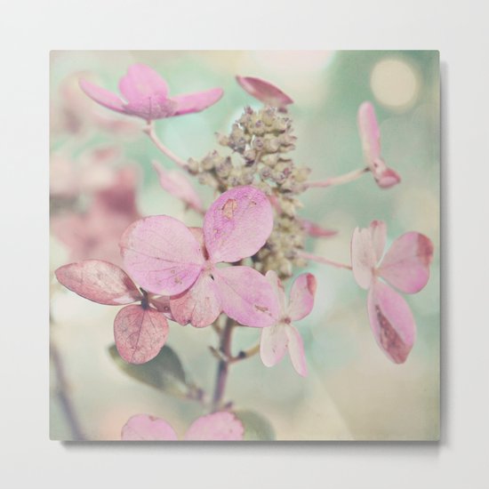 Blush Metal Print