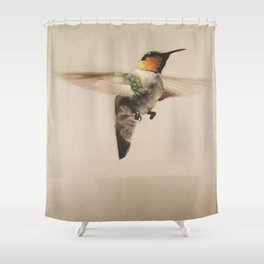 Humming Bird Shower Curtain