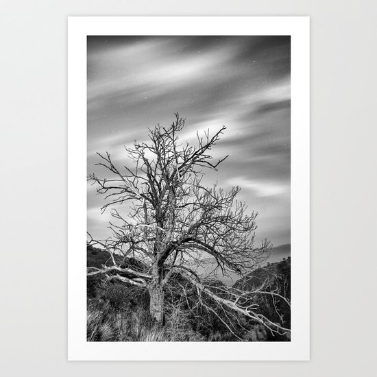 Old Mountain Tree under the stars Art Print
