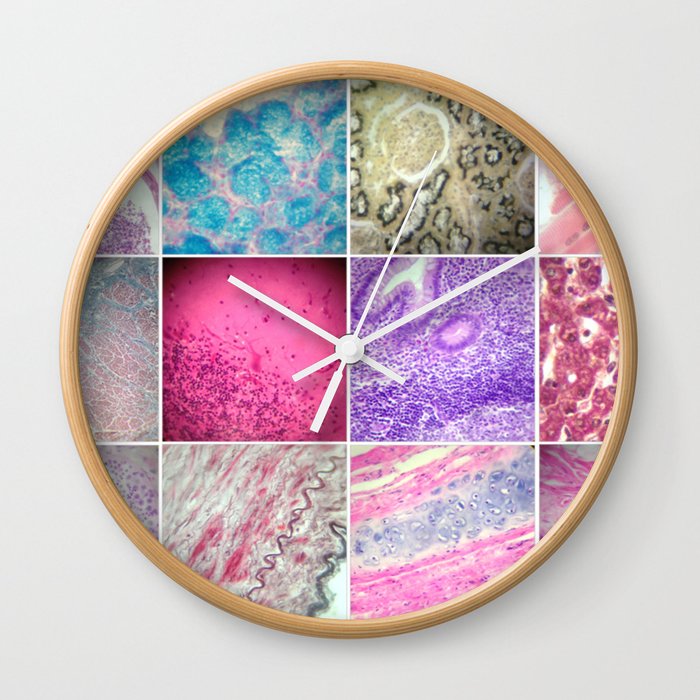 Histology Wall Clock
