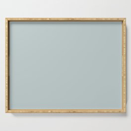 Light Aqua Blue Gray Solid Color Pairs Pantone Misty Blue 13-4405 TCX Shades of Blue-green Hues Serving Tray