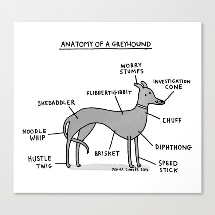 Greyhound canvas deals prints