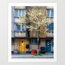 Urban Architecture with Blooming Tree in Front of Old Building – Urban Photography Art Print