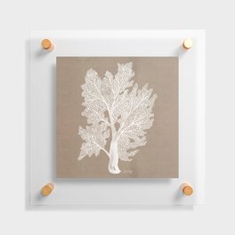 Sea Fan Coral – White on Kraft Floating Acrylic Print
