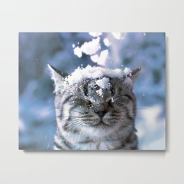 Snow Cat Metal Print | Photo, Vintage 