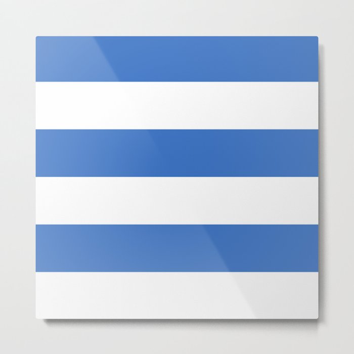 flag of Tallinn Metal Print
