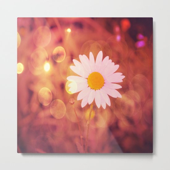 Red Daisy Metal Print