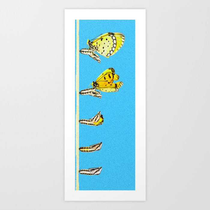 Metamorphosis Yoga Mat & Towel Print Art Print