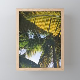 Canopy - Mexico Framed Mini Art Print
